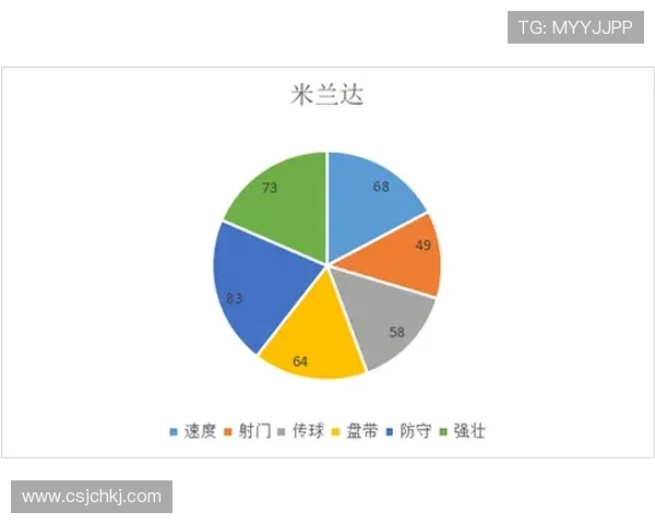 杭州排球队的快速进攻与防守策略分析探讨