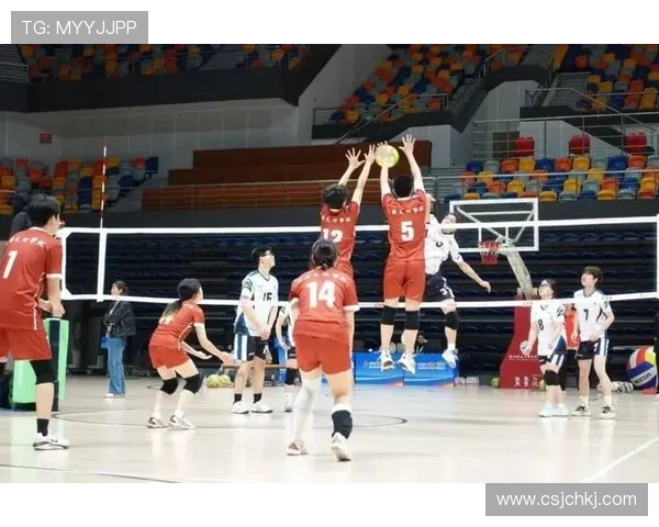 武汉排球队的耐力挑战与训练探索聚焦排球运动的未来发展