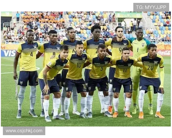 哥伦比亚与巴拉圭比赛结果分析及精彩瞬间回顾