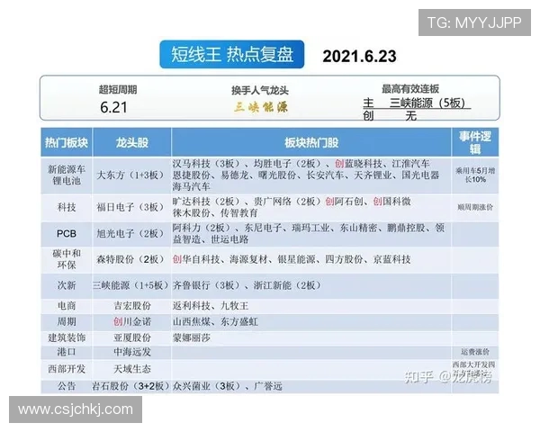 重庆羽毛球队与西安羽毛球队赛后复盘分析比赛节奏与战术对比