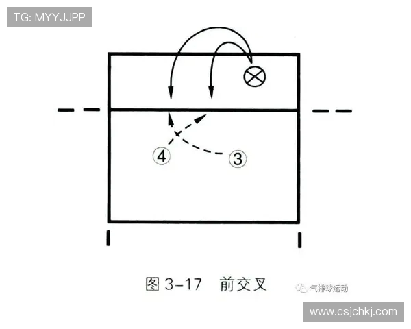 北京排球队转换体系的战术解析与实战应用探讨