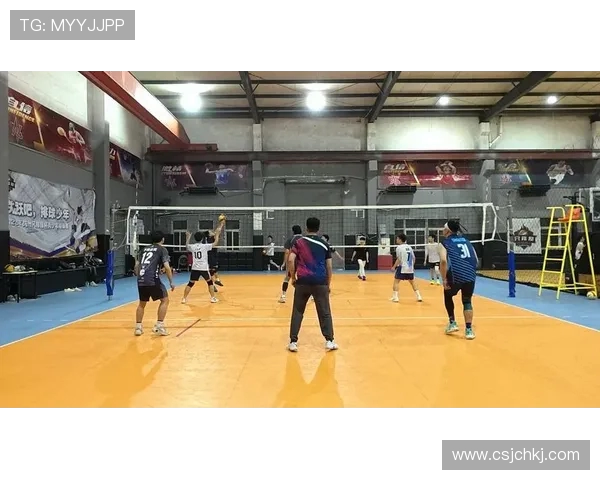 杭州排球队个人能力分析与发展潜力探讨