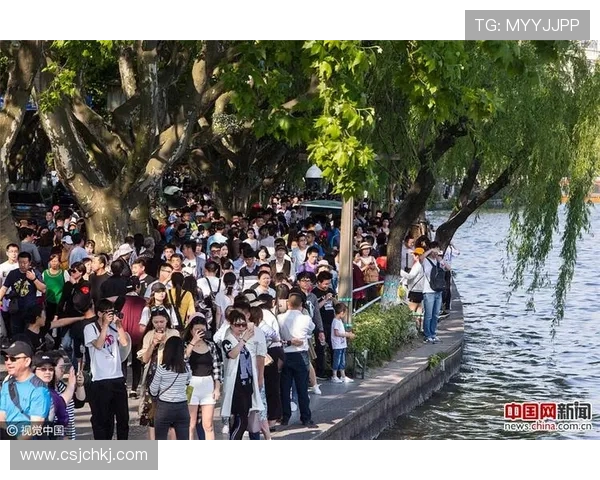 深入分析杭州滑板队的运营策略与发展模式探讨